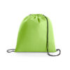 Mochila saco em TNT verde